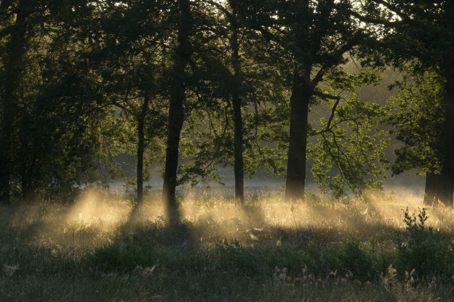 Hovedillustrasjon