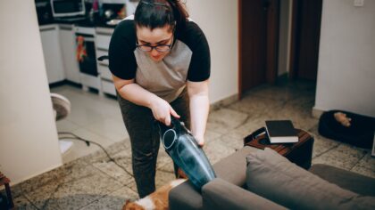 Hygiene med hund og katt hjemme: renere hjem uten å gå på bekostning av dyrets helse