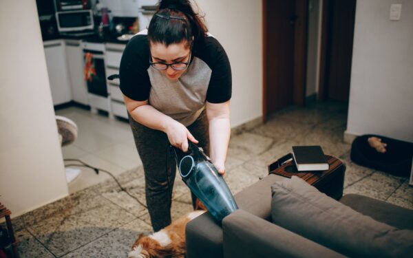 Hygiene med hund og katt hjemme: renere hjem uten å gå på bekostning av dyrets helse