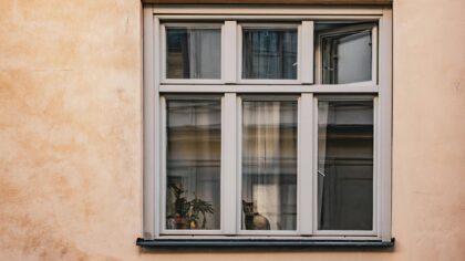 Innekatt på liten plass: slik skaper du et kattvennlig hjem i leilighet