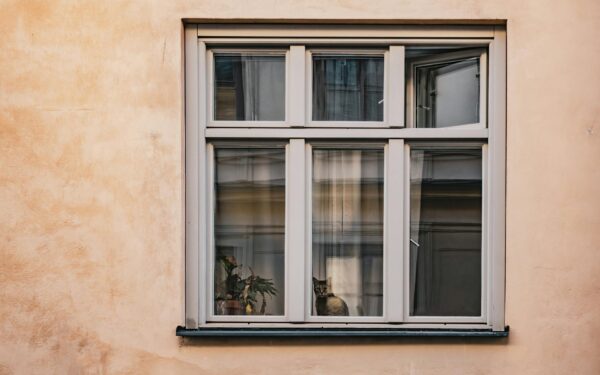 Innekatt på liten plass: slik skaper du et kattvennlig hjem i leilighet