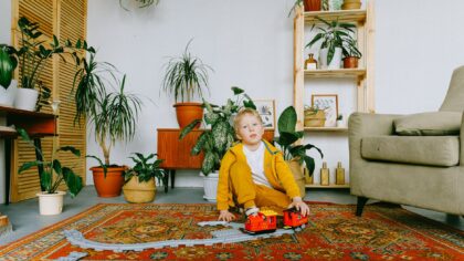 Katt og barn i samme hjem: praktiske råd for en rolig hverdag