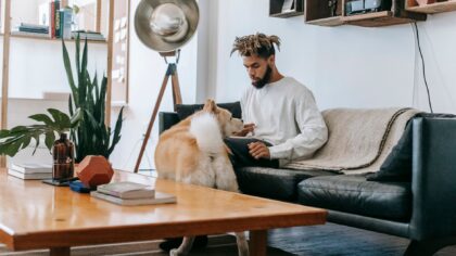 Mental trening for hund: slik gir du hjernen arbeid og kroppen mer ro