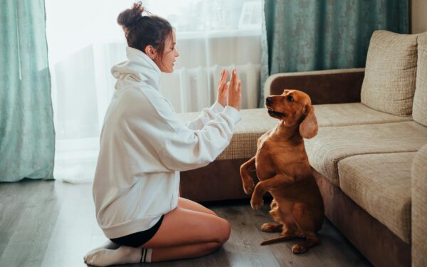 Slik gjør du innetrening til dagens høydepunkt for deg og hunden din