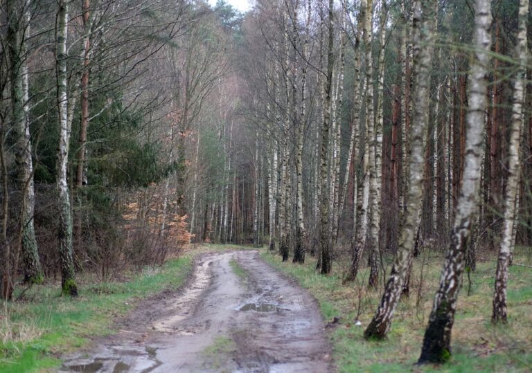 Tematisk illustrasjon