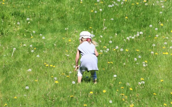 Sommerfugler for barn: slik utforsker dere naturen sammen uten å ta på noe