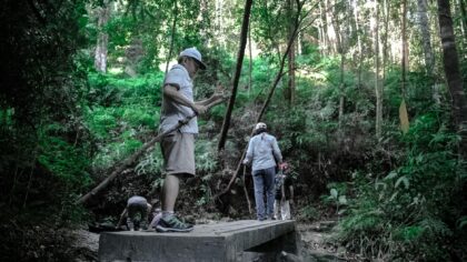 Trygg avstand til ville dyr: praktisk guide for familier i naturen