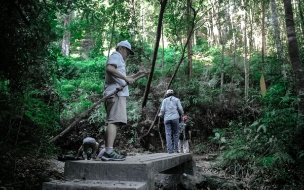 Trygg avstand til ville dyr: praktisk guide for familier i naturen