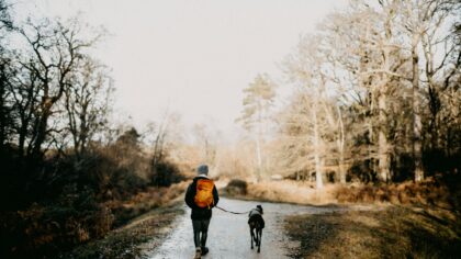 Tur i skogen med hund: slik får dere en trygg og givende opplevelse