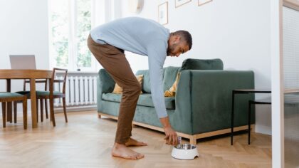 Aktivisering inne: slik gir du hunden en rikere hverdag uten lange turer