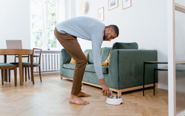 Aktivisering inne: slik gir du hunden en rikere hverdag uten lange turer
