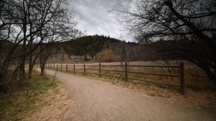 Bakketrening for hest gjort enkelt: slik kommer du i gang uten avansert utstyr