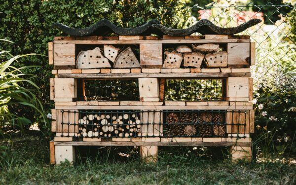 Insekthotell i hagen: slik gir du villbiene et trygt hjem