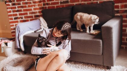 Katt og hygiene i hjemmet: gode rutiner som gjør livet lettere for både deg og pus