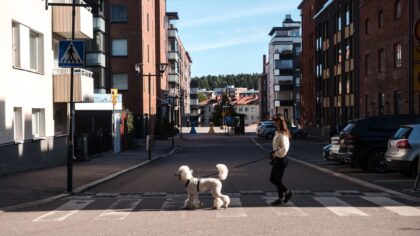 Miljøtrening av hund i nabolaget: slik bygger du en robust og rolig følgesvenn