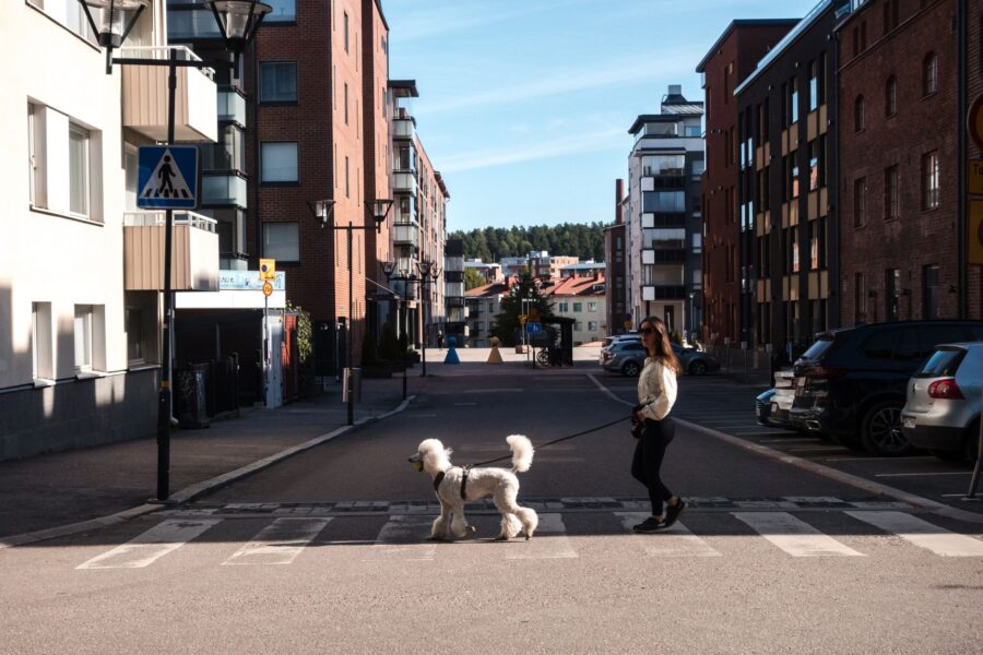 Hovedillustrasjon