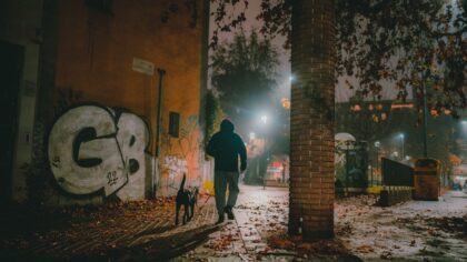 Refleks til hund: slik gjør du kveldsturen sikrere og mer oversiktlig