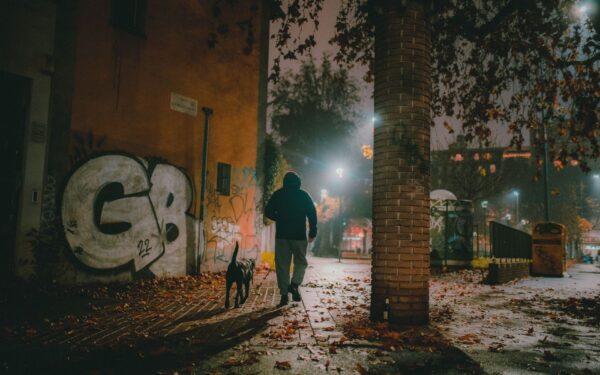 Refleks til hund: slik gjør du kveldsturen sikrere og mer oversiktlig