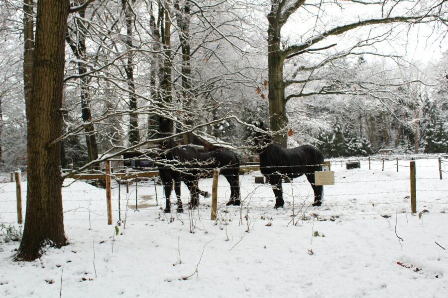 Hovedillustrasjon
