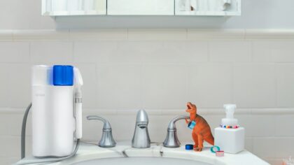 Tannpuss på hund: slik lykkes du uten stress og kamp